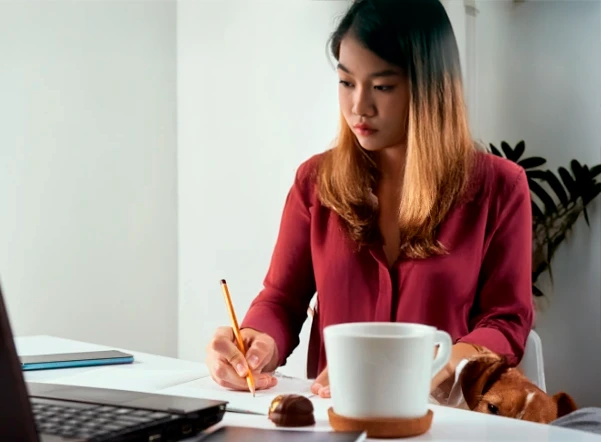 Cursos Autoinstrucción