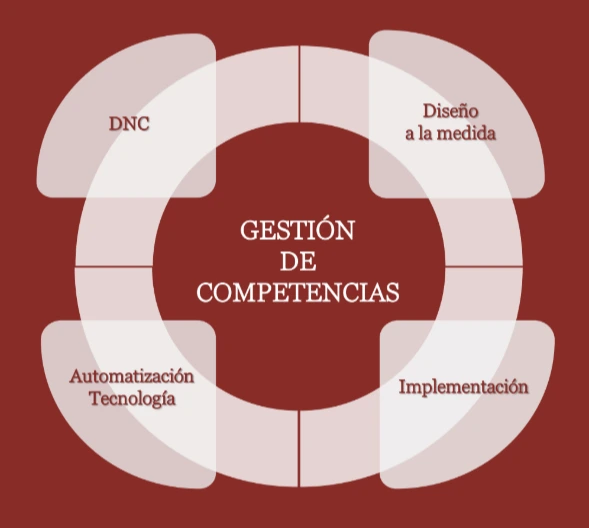 Cursos a la medida